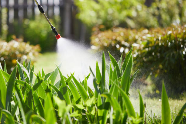 24/7 Emergency Wasp Removal experts in Liberty, SC
